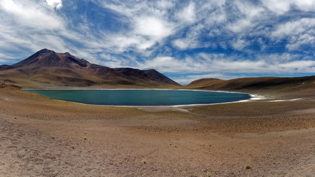 01 - Désert d'Atacama (4) -Laguna Miscanti.jpg